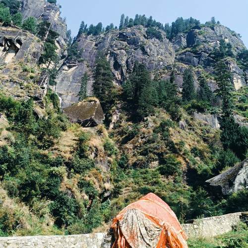 Photo #11224549