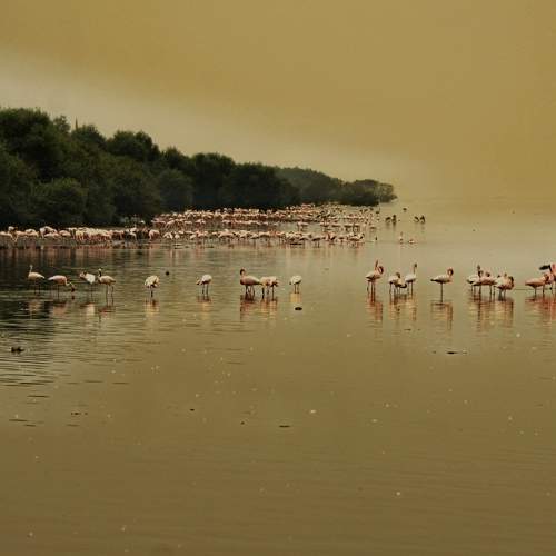 Photo #11224599