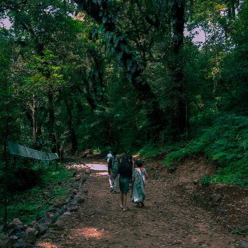 Photo #11224738