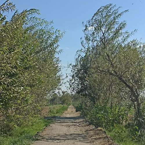 Photo #11224750