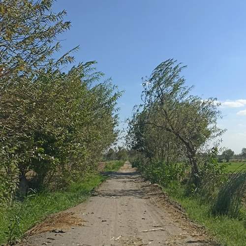 Photo #11224752