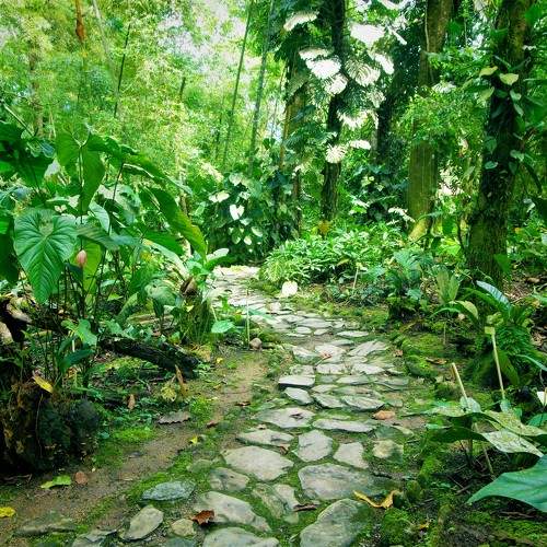 Photo #11224759