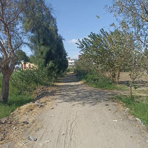 Photo #11224760