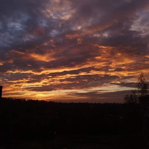 Photo #11224848