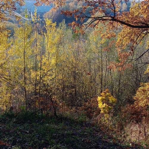 Photo #11224878