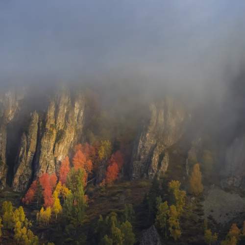 Photo #11224879