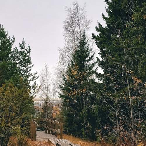 Photo #11224941