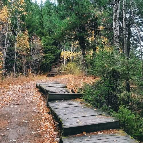 Photo #11224942