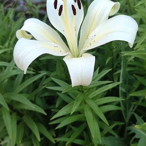 Photo #11224978