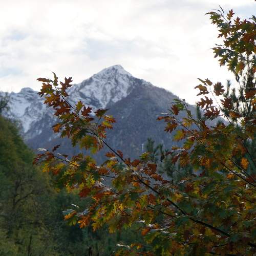 Photo #11224997