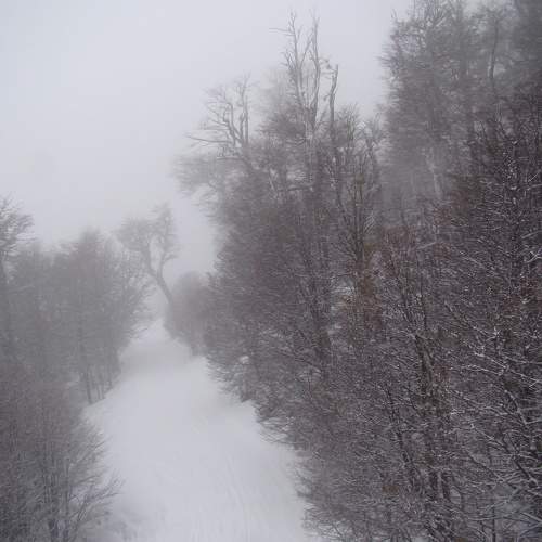 Photo #11225117