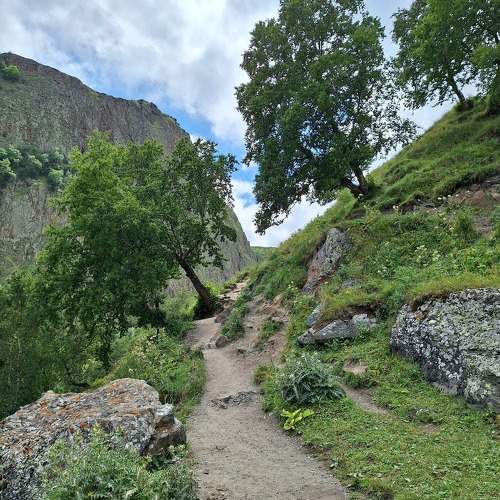 Photo #11225281