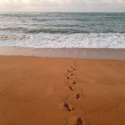Photo #11225336
