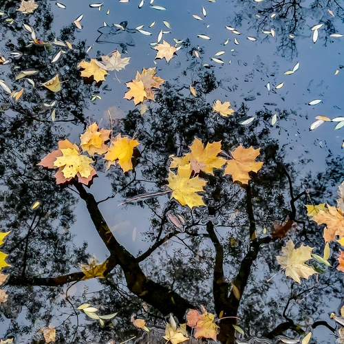 Photo #11225362