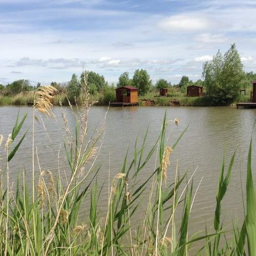 Photo #11225395