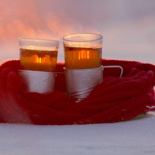 Photo #11225421