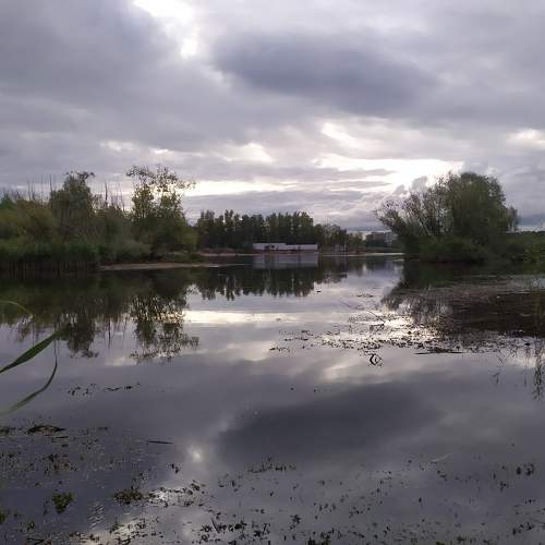 Photo #11225425