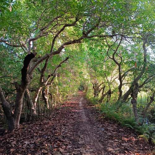 Photo #11225428