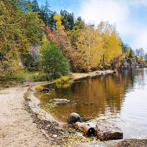 Photo #11225429