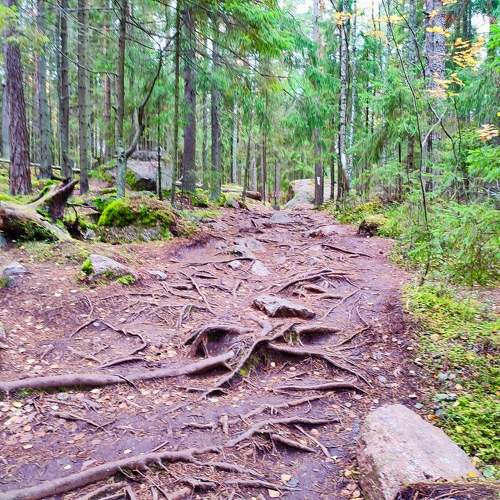 Photo #11225431