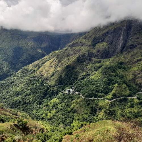 Photo #11225442