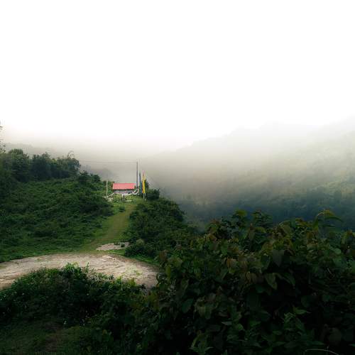 Photo #11225471