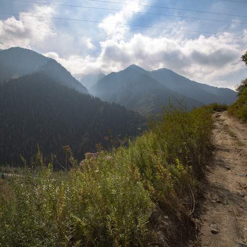 Photo #11225526