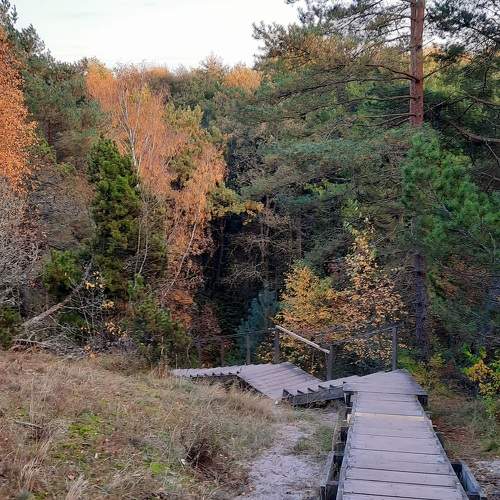 Photo #11225727