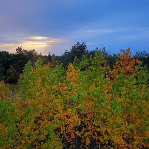 Photo #11225728