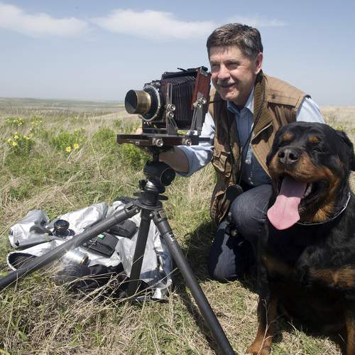 Photo #11225824
