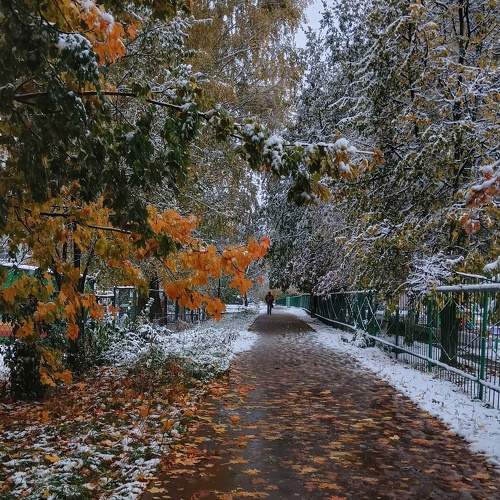 Photo #11225931