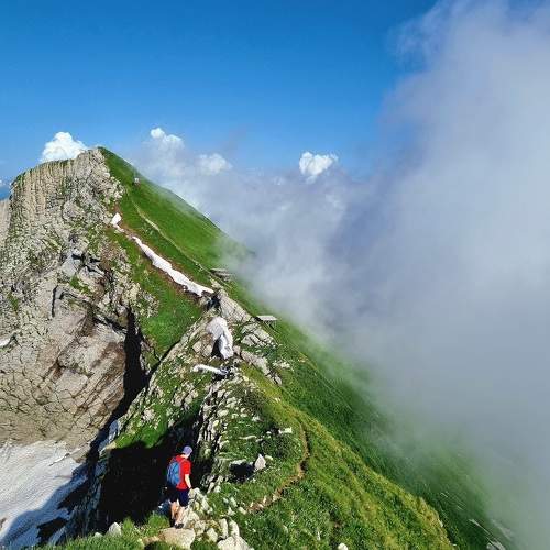 Photo #11225972