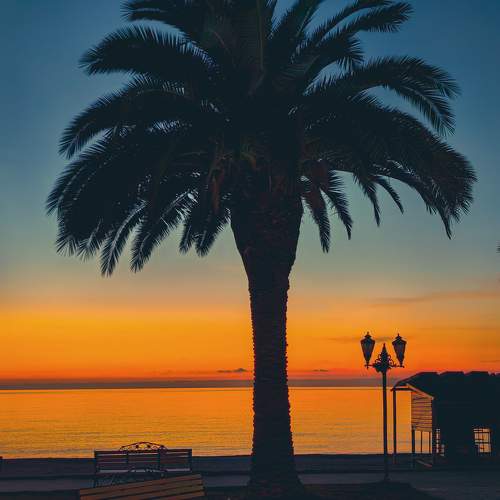 Photo #11225994