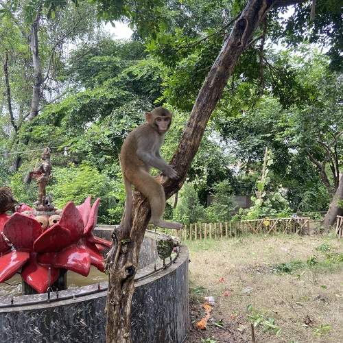 Photo #11226003