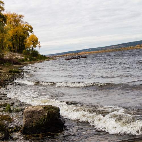 Photo #11226104