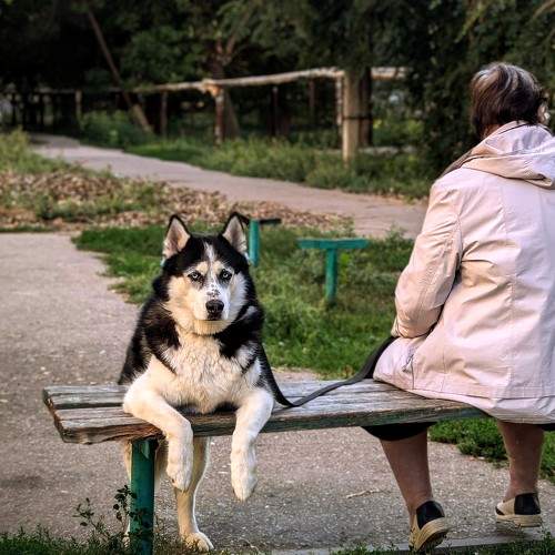 Photo #11226183