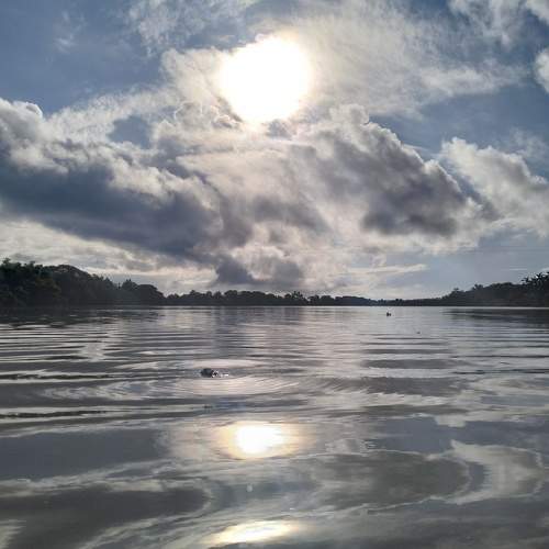 Photo #11226479