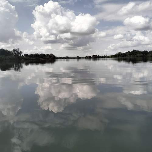 Photo #11226519