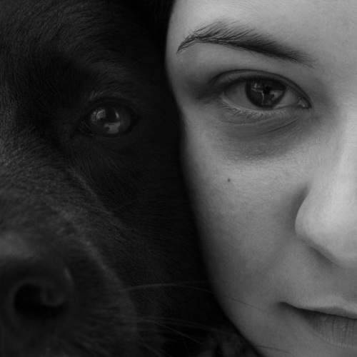 Photo #11226656