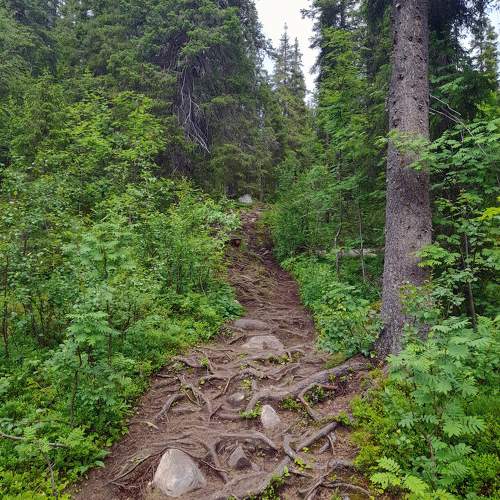 Photo #11226733