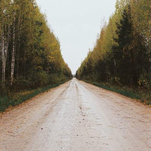 Photo #11226761