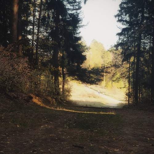 Photo #11226789