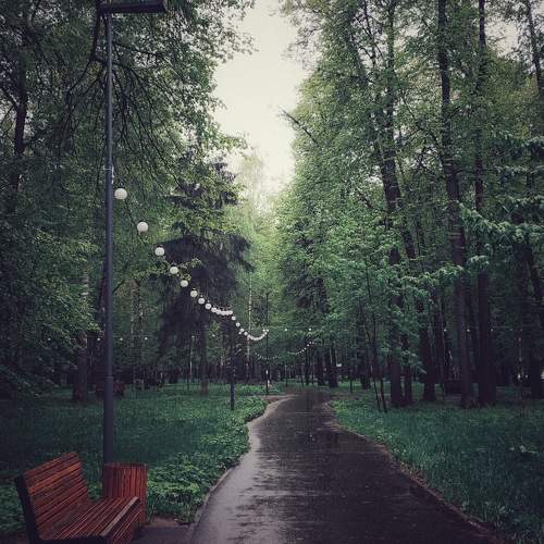 Photo #11226791