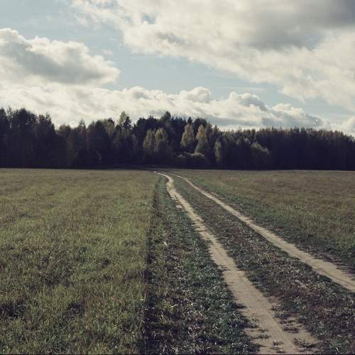 Photo #11226794