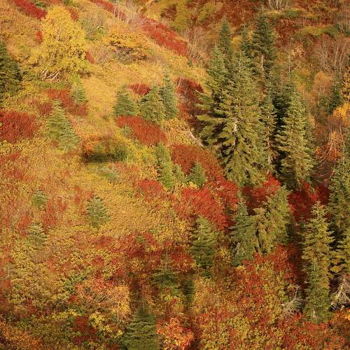 Photo #11226795