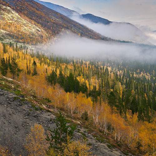 Photo #11226796