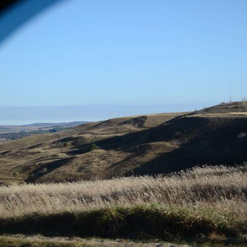 Photo #11226982