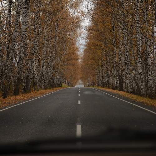 Photo #11226986
