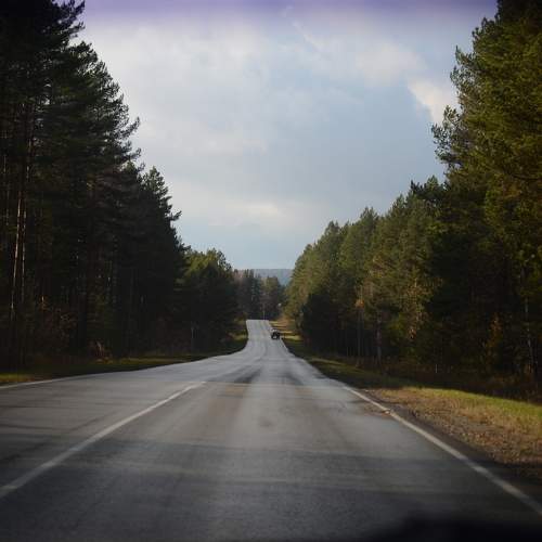 Photo #11226995