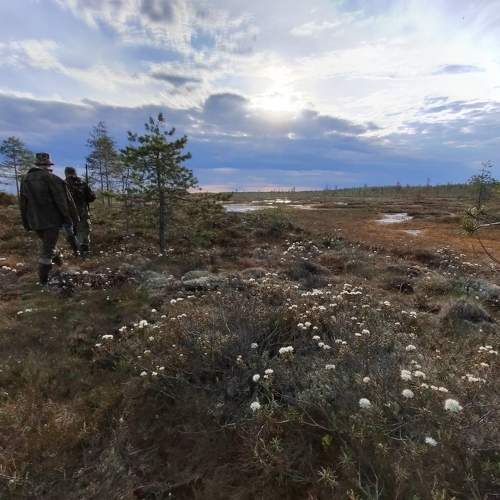 Photo #11227085